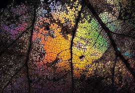 Creative Abstract Photography By Ursula Abresch 121clicks Com Abstract Photography Abstract Abstract Photos