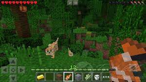 Android oyun club tarafından derlenmiştir. Minecraft Pocket Edition V1 13 0 2 Full Apk Mcpe 1 13 0 2 Beta