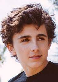 Fionn o'shea as wylan van eck from six of crows/ shadow and bone fancast, nyt bestselling book series from leigh bardugo turning into a netflix series. Fan Casting Timothee Chalamet As Wylan Van Eck In Six Of Crows Shadow And Bone The Grisha Trilogy Grishaverse On Mycast