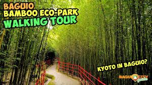 From baguio weather to the latest baguio city news. Baguio City Bamboo Eco Park Baguio City Tourist Spot Walking Tour Kyoto In Baguio Youtube
