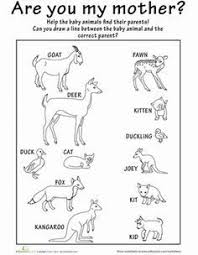 Image Result For Wild Animals And Their Babies Worksheets Baby Animal Names Animal Crafts Preschool Baby Animals