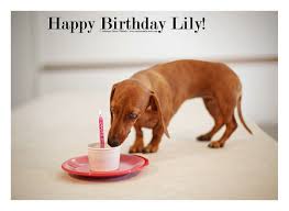 We did not find results for: Happy Birthday Lily Rufusontheweb