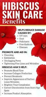 Either fresh or dried hibiscus flowers can be used to prepare an alcohol extraction or tincture. What Are The Health Benefits Of A Hibiscus Flower Quora