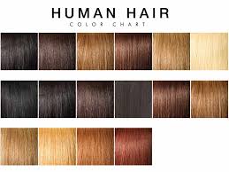 Human Hair Color 101 All You Need To Know About