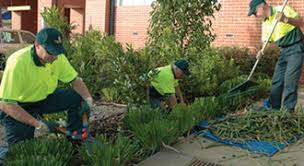 Hire colleen for your landscape job at showplace lawns we provide the professional lawn care and landscaping services you need ­to keep your yard beautiful and healthy in an. Gardening Services Jimsmowing Com Au