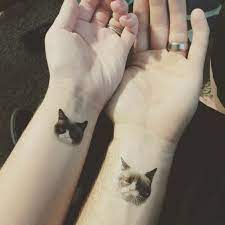 Парные тату с котами
