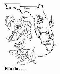 Florida coloring pages are a fun way for kids of all ages to develop creativity, focus, motor skills and color recognition. Florida Coloring Sheets Yahoo Image Search Results Bird Coloring Pages Coloring Pages Coloring Pages For Kids