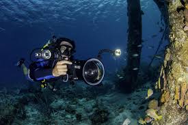 What I Learnt About Diving In Bonaire