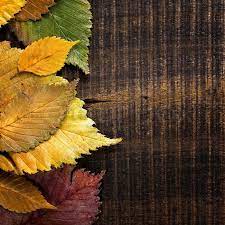 You can choose a lighter brown, like fawn to keep the room from getting too dark, or coffee for a more vibrant feel in the room. Autumn Background Leaves Border On Stock Image Colourbox