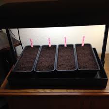 Maybe you would like to learn more about one of these? Garland Grow Light Garden A Girl And A Garden