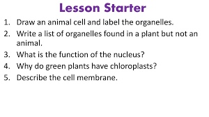 We did not find results for: Lesson Starter Draw An Animal Cell And Label The Organelles Ppt Download