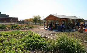 Alice S Garden Wins Prestigious Mandi Award Milwaukee Neighborhood News Service