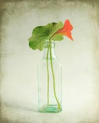 Pin On Paintings Flowers Art Www Merrillweber Com