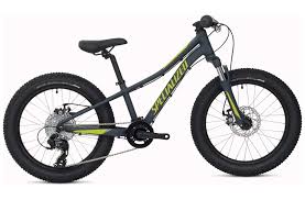 Specialized Riprock 20 Boys 2020 Kids Bike