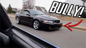 Ford's 2003 and 2004 svt cobras earned the name terminator cobra. Terminator Cobra Rolled Up On Me Youtube