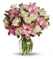 Cherry hill greenhouse is family owned and operated and has been serving northern michigan for 25 years. Cherry Hill Flower Barn 7850 Airport Highway Pennsauken Nj Florists Mapquest