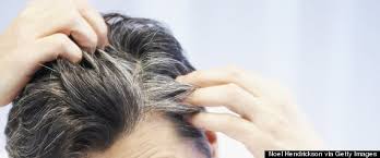 Then there's also natural hair dyes to tint your grey hair. The Most Common Gray Hair Myths Debunked Huffpost