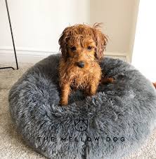 Check out our calming pet beds selection for the very best in unique or custom, handmade pieces from our кровати для питомцев shops. Calming Bed Regular King Size Large Orthopedic Dog Bed The Mellow Dog