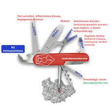 Der umstrittene sänger kritisiert politik und virologen. Molecules Free Full Text Aminobenzosuberone Scaffold As A Modular Chemical Tool For The Inhibition Of Therapeutically Relevant M1 Aminopeptidases Html