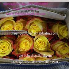 We'll provide you with track and trace information on the days your flowers are packed. Flowershop With Fresh Cut Flowers In Bulk Buy China Fram Provides Fresh Cut Farm Rose Wholesale Great Fresh Cut Roses On Sale Now Freshcut Wholesale Rose With Wholesale Price From China Product On