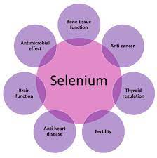 The Health Benefits Of Selenium Download Scientific Diagram