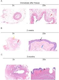 Kepala bergetar episod melayu drama full episode astro, kepala bergetar tonton drama tv3 episod gempak dfm2u terkini video hd dan download drama melayu, terbaru filem telefilem hd malay drama episod, drama malaysia, malay filem telemovie dan telefilem. Curi Curi Cinta Episod 25 Layanjer