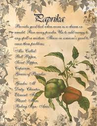 Book Of Shadows Herb Grimoire Paprika By Conigma On Deviantart Wicca Herbs Magickal Herbs Magic Herbs