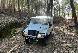 Image result for Light Blue 1984 UMM