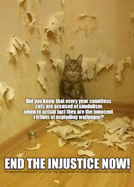 End The Injustice Now Funny Cats Cat Memes Funny Cat Memes