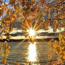 Check spelling or type a new query. Beaute De La Nature Home Facebook