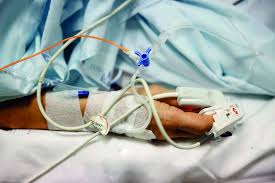 Noticias principales de eutanasia, artículos de opinión, imágenes, fotos, galerías, análisis y videos de eutanasia. Visao A Eutanasia Parte Ii