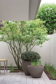Indoor Outdoor Plants Small Garden Design Garden Design Outdoor Gardens