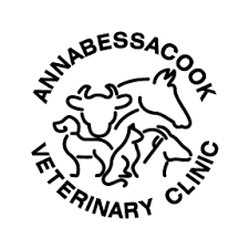 The uk's leading pet specialist, providing pet owners with all their needs; Vet In Monmouth Me Annabessacook Veterinary Clinic