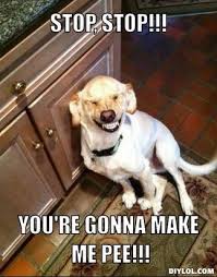 A bad joke is a bad joke. Bad Jokes Really Julie Powell Photographer Graphic Artist