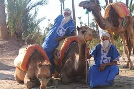 Highlights ride a camel through the palm trees of the marrakech palmeraie visit the home of a local berber family and chat with them about their life.during sunset and ride a camel on the palmeraie, a huge palm grove within walking distance. Fantastic Palm Grove Camel Ride Review Of Camel Ride Marrakech Marrakech Morocco Tripadvisor