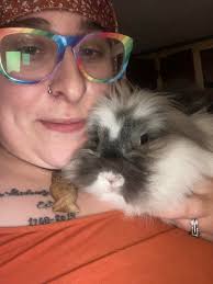 How to get a rescue rabbit to like me?