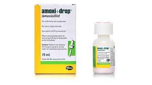 Image result for Amoxicillin