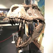 T-Rex Jaw