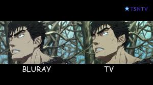 It should be noted that in berserk, traditional manga chapters are episodes; Bluray Berserk 2017 Ch9 Comparison Youtube