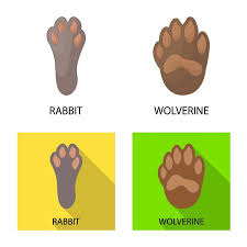 Check out our rabbit feet svg selection for the very best in unique or custom, handmade pieces from our digital shops. 932 Rabbit Foot Cliparts Stock Vector And Royalty Free Rabbit Foot Illustrations