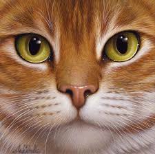 Perros Y Gatos Avec Images Dessin Chat Peinture Chat