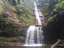 Lokasi wisata argopuro garden ini terletak di alamat jalan jerukan rt.4 / rw.6, patemon, tanggul, krajan i, patemon di sepanjang jalan menuju wisata argopuro garden ini kalian akan menjumpai pemandangan alam pegunungan yang sangat indah. Wisata Alam Argo Puro Di Rumbai Pekanbaru 17 Tempat Wisata Pekanbaru Yang Kekinian Dan Wajib Kamu Kunjungi Tidak Hanya Pantai Air Terjun Hingga Perbukitan Di Bali Sukses Memukau Wisatawan Febex Mona