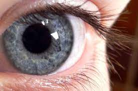 Check spelling or type a new query. Grey Eyes Learn About A Rare Smokey Eye Color