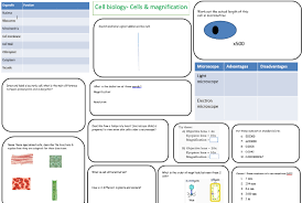 Almost all animals and plants are made up of cells. Https Www Lymmhigh Org Uk Wp Content Uploads 2020 12 Ks3 The Revision Guide 2020 2021 Pdf