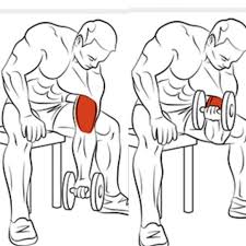 Best Of Biceps Exercises Part 3 Healthy Fitness Arm Training Muscle Fitness Biceps Workout Fitness Training
