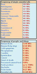 Frequencies Notes And Making Your Own Perfumes Essential