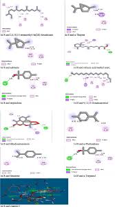 Image result for Hippocratea africana