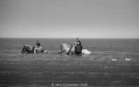 Verbringen sie also unbedingt auch einmal einen urlaub in belgien am strand der nordsee! Urlaub An Der Belgischen Kuste Tag 12 Die Stienestekers Von Koksijde