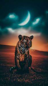 Hdwallpapers.net is a place to find the best wallpapers and hd backgrounds for your computer. 4k Hd Wallpaper By Actionhero Justin V C5 Free On Zedge