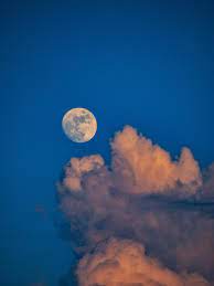 The moon is extremely bright compared to the night sky behind it. 1500 Beautiful Moon Pictures Download Free Images On Unsplash